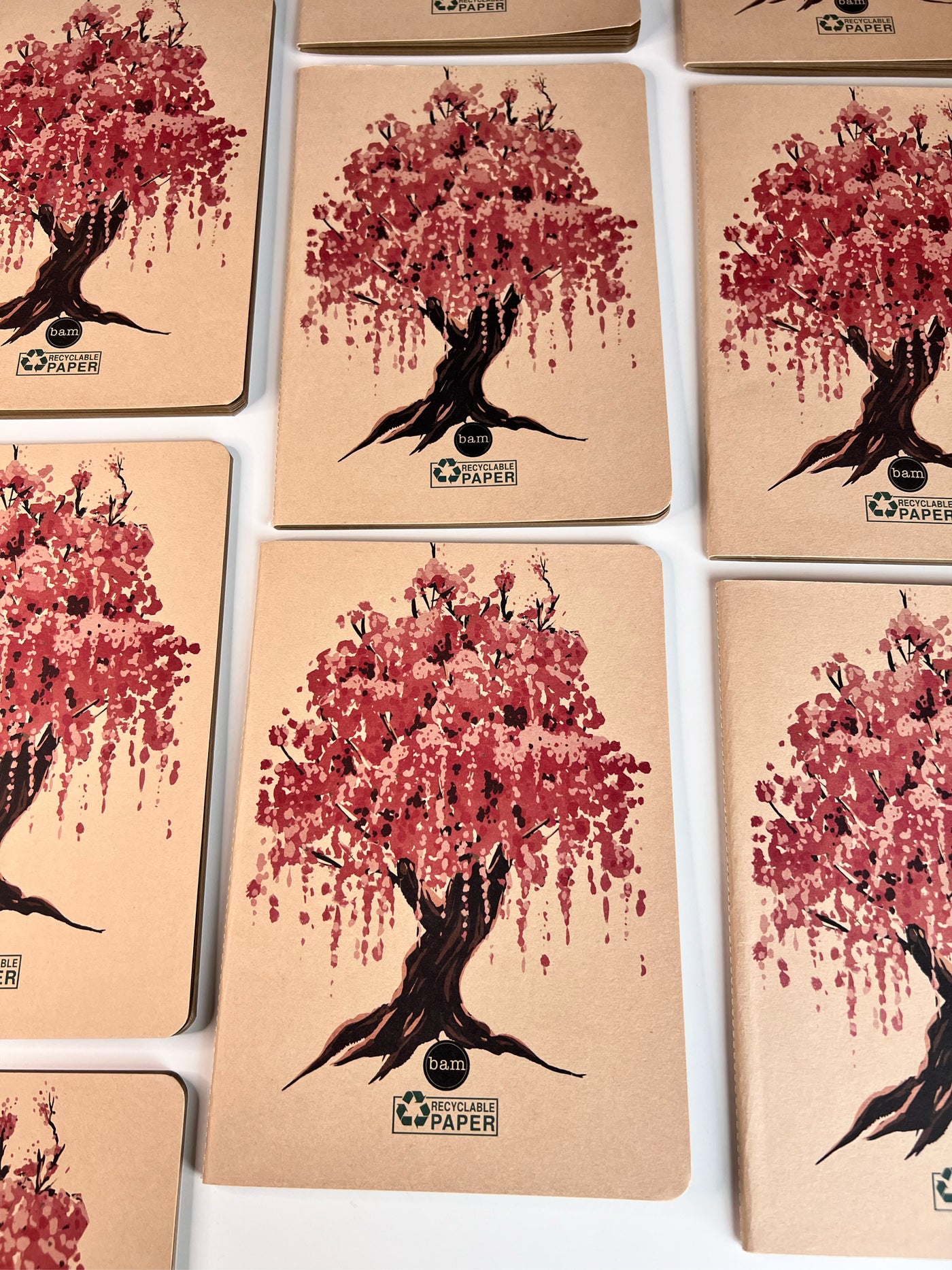 Sakura notebook - PROBOXS