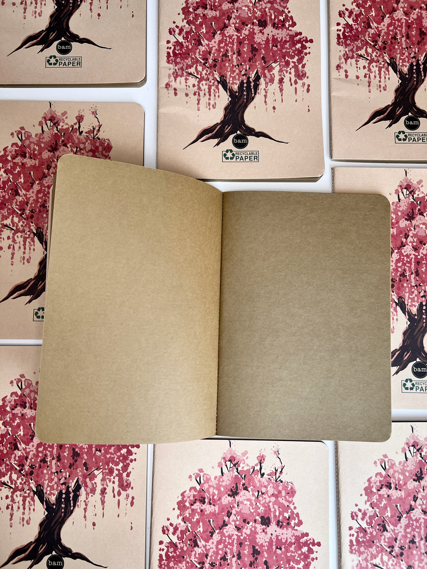 Sakura notebook - PROBOXS