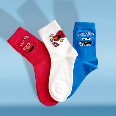 Sesame Street socks - PROBOXS