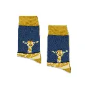 proboxs-6 socks.webp