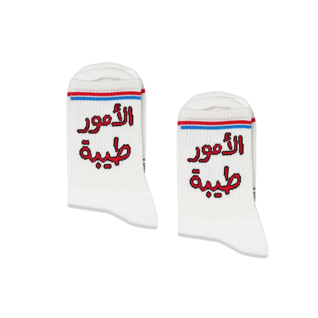 proboxs-Alomoor taiba socks2.jpg