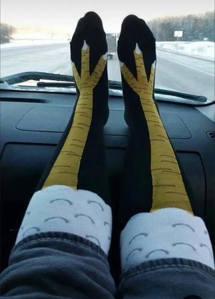 Ostrich Socks, photo 2