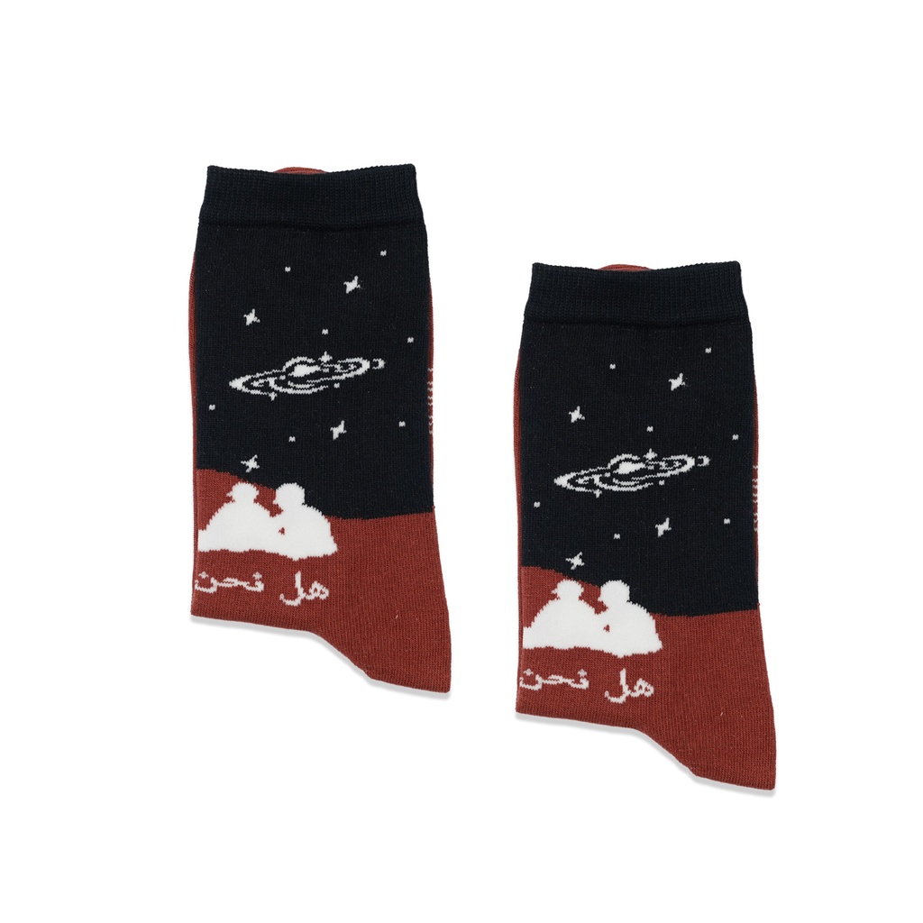 proboxs-Are wev alone socks2.jpg